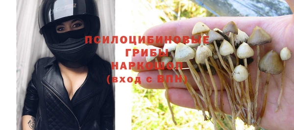 прущая мука Аркадак